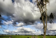 NG体育：杜兰特会去马刺？ 联手文班小狐狸做最后一搏？.