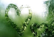 NG体育：孙继海与基层教练谈天赋：除运动和接受能力外，专注度最重要.