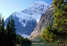 TA：阿森纳对葡体中锋约克雷斯兴趣浓厚，新总监贝尔塔非常欣赏他.