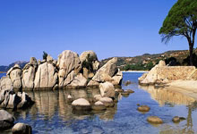 NG体育：奥斯卡、塞尔吉尼奥归化程序启动 国有望添猛将.